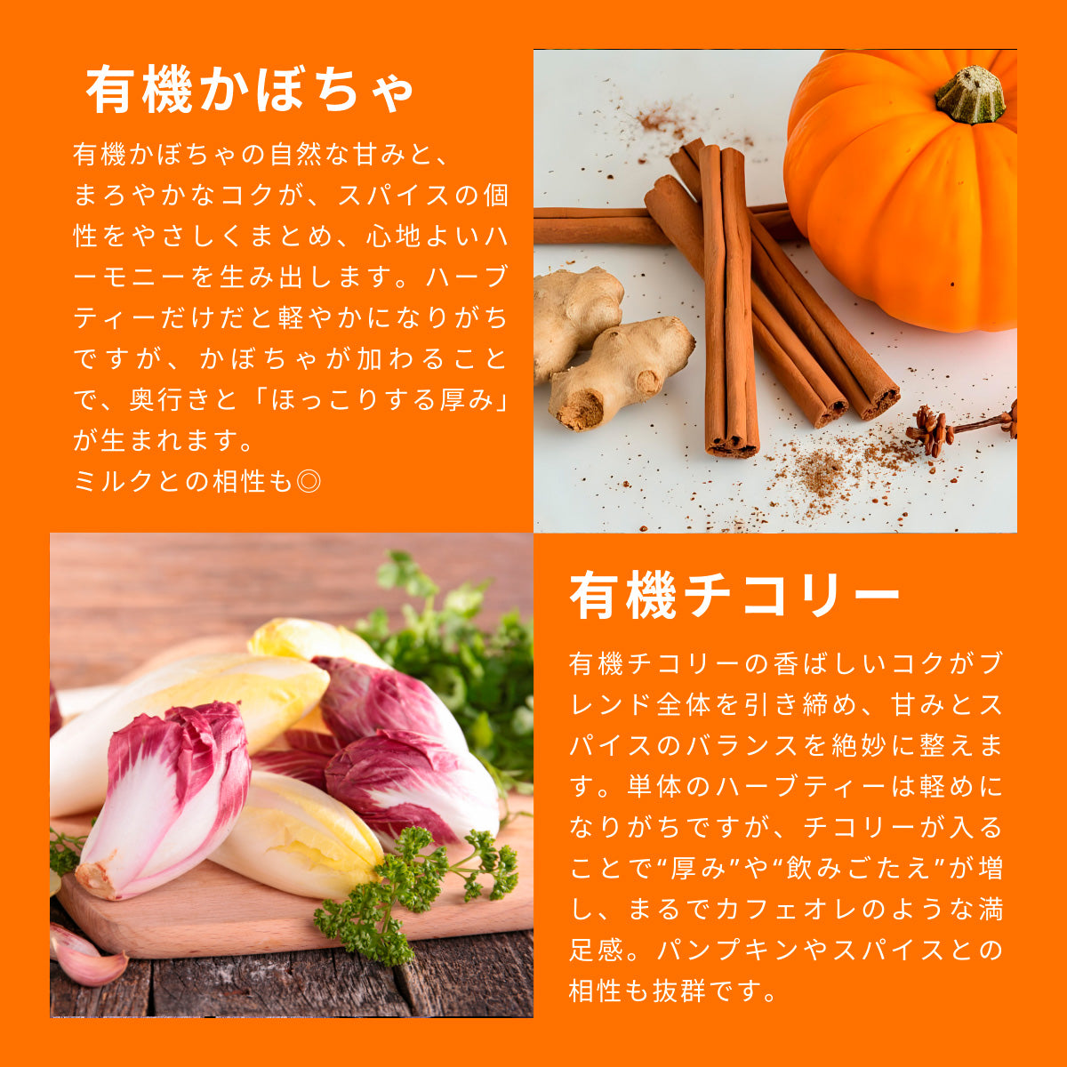 【公式】パンプキン・スパイス (20袋入り) / 紅茶 ハーブティー オーガニック 有機JAS プレゼント 贈答 ハロウィン 有機JAS ロンドン発 紅茶専門