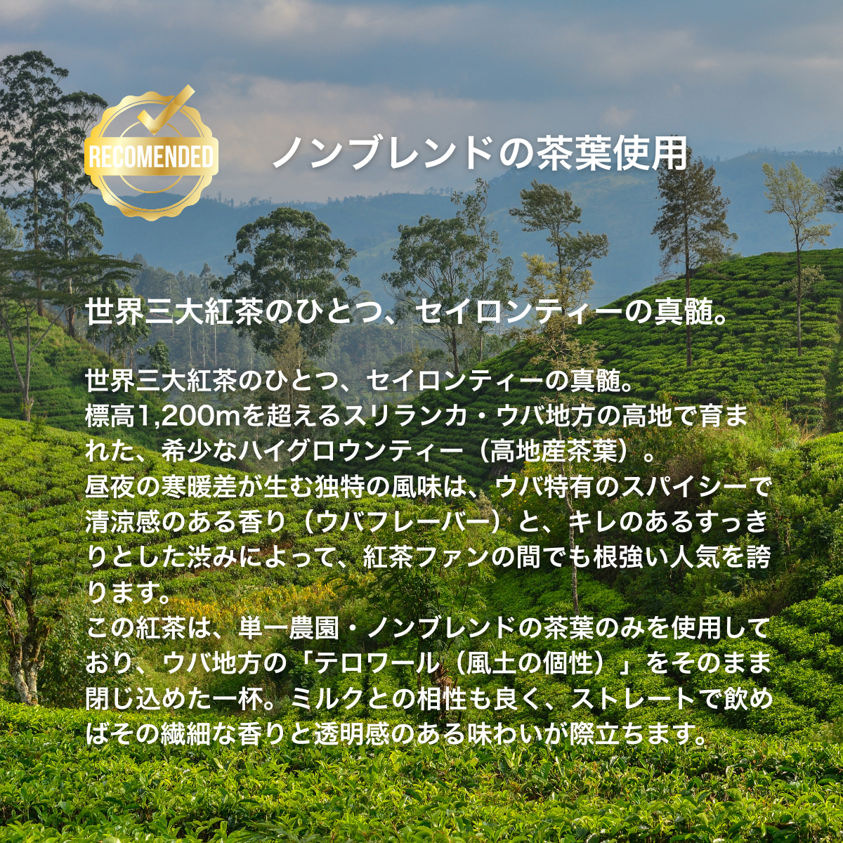 【公式】アールグレイオレンジ リーフティー 茶葉 (80g)  / 紅茶 オーガニック 紅茶専門 誕生日 プレゼント 贈答 女性